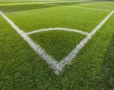 卡瓦尼深情,告白,博卡恩情深,平博体育官网,PINBO,Sports,足球直播,篮球赛事,体育高清,NBA直播