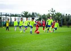 解析,三年禁令来,明星代言虚,平博体育官网,PINBO,Sports,足球直播,篮球赛事,体育高清,NBA直播